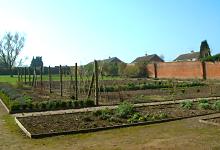 Walled Garden Project